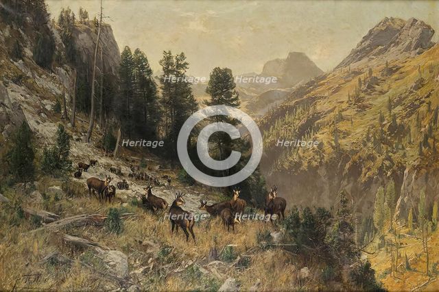 Autumn in the high mountains, 1887. Creator: Julius Arthur Thiele.
