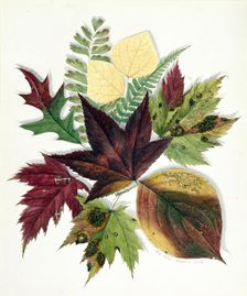 Autumn Leaves, 1858. Creator: Nina Moore