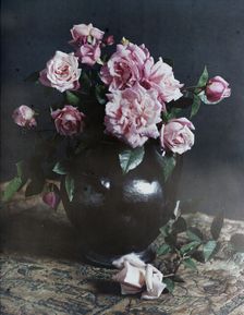 Autumn roses, 1915. Creator: Robert Walrond