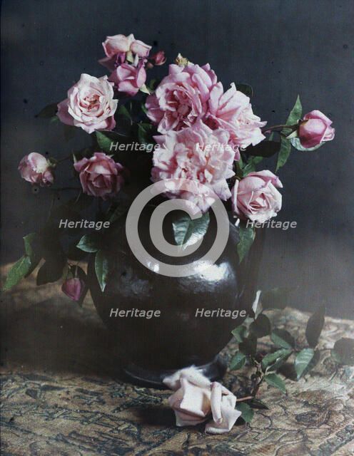 Autumn roses, 1915. Creator: Robert Walrond.