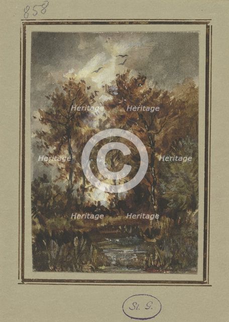 Autumn scenery with a brook, mid-late 19th century. Creator: Jakob Maurer.