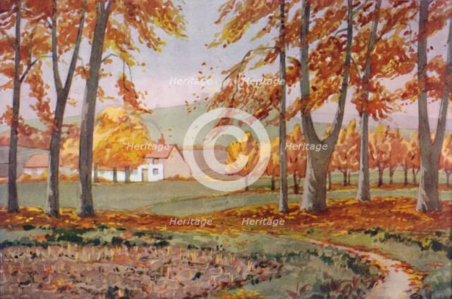'Autumn - The Physical, Chemical and Biological Changes Wrought By The Sun During The Year', 1935. Artist: Unknown.