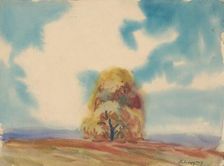 Autumn tree, 1933. Creator: Zolo Palugyay