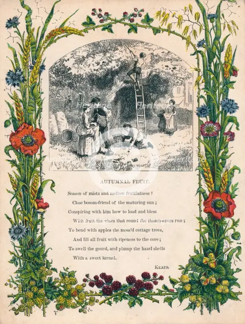 'Autumnal Fruit' by Keats, c1900. Artist: Unknown.