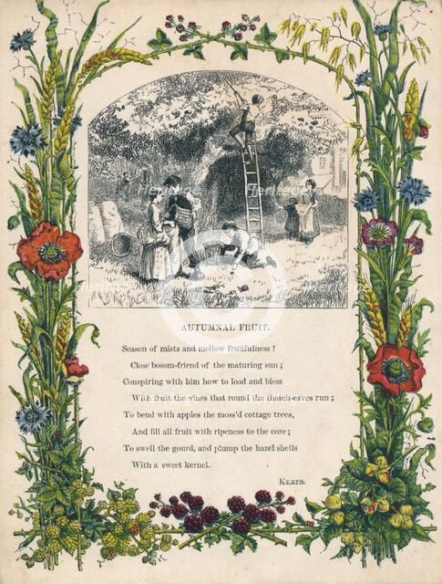 'Autumnal Fruit' by Keats, c1900. Artist: Unknown.