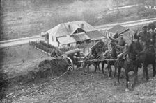Aux armees Roumaines ; piece d'artillerie menee a sa position 1916. Creator: Unknown