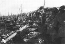 Aux Eparges; Apres l'enlevement d'assaut d'une tranchee allemande avoisinant le..., 1915 (1924). Creator: Unknown