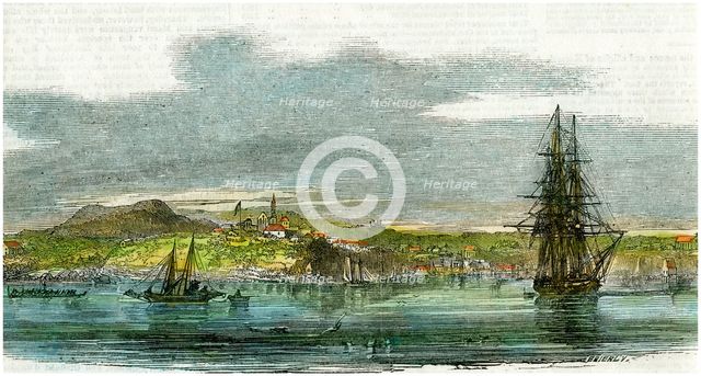 Auckland, New Zealand, c1880. Artist: Unknown