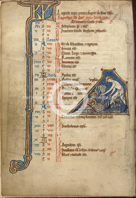 August Calendar Page; Reaping; Psalter, mid-1200s. Creator: Unknown.
