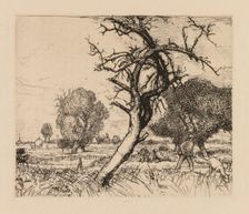Auguste Lepère: Le pommier mort (Picardie), 1913. Creator: Auguste Louis Lepère (French, 1849-1918)