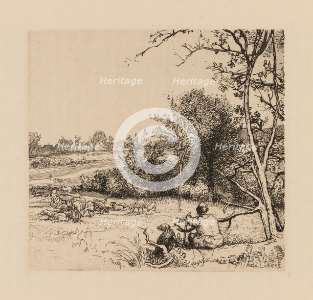 Auguste Lepère: Le pommier renversé (Picardie) . Creator: Auguste Louis Lepère (French, 1849-1918).