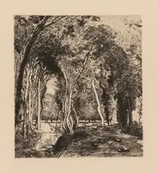 Auguste Lepère: Sous bois, à la Rigonette (Vendèe). Creator: Auguste Louis Lepère (French, 1849-1918)
