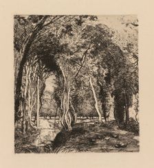 Auguste Lepère: Sous bois, à la Rigonette (Vendèe). Creator: Auguste Louis Lepère (French, 1849-1918)