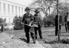 Augustus Octavius Bacon, Senator From Georgia. Left, Planting Tree At Capitol, 1911. Creator: Harris & Ewing