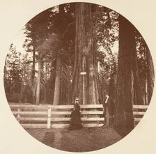 Auld Reckie. C. Grove, ca. 1878. Creator: Carleton Emmons Watkins