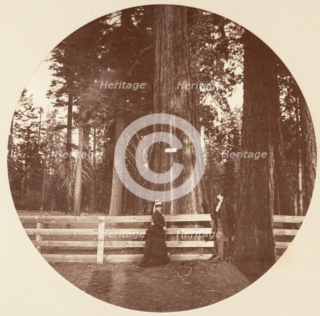 Auld Reckie. C. Grove, ca. 1878. Creator: Carleton Emmons Watkins.