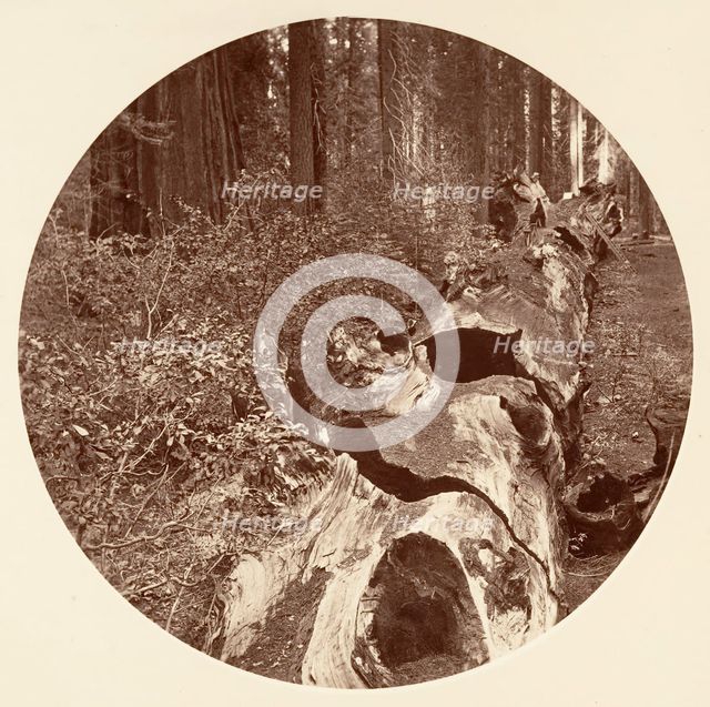 Auld Reckie - C. Grove, ca. 1878. Creator: Carleton Emmons Watkins.