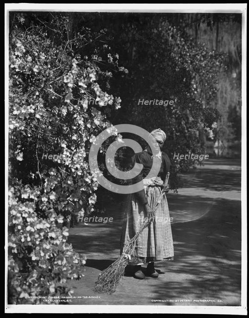 Aunt Phoebe, Magnolia-on-the-Ashley i.e. Magnolia Gardens, Charleston, S.C., c1901. Creator: William H. Jackson.