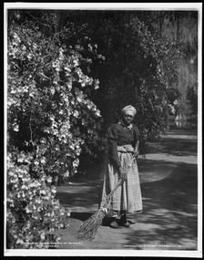 Aunt Phoebe, Magnolia-on-the-Ashley i.e. Magnolia Gardens, Charleston, S.C., c1901. Creator: William H. Jackson