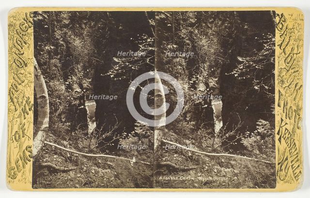 Ausable Chasm - Mystic Gorge, late 19th century. Creator: Baldwin Photo.