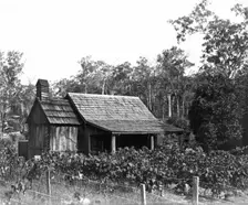 Australian wooden slab hut, wooden shingle roof, c1900s. Creator: Robert Augustus Henry L'Estrange