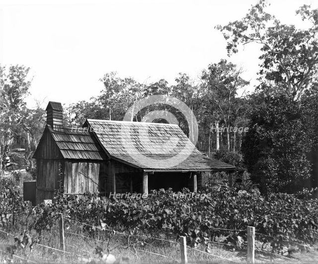 Australian wooden slab hut, wooden shingle roof, c1900s. Creator: Robert Augustus Henry L'Estrange.