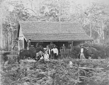 Australian wooden slab hut with large unknown family outside, c1900s. Creator: Robert Augustus Henry L'Estrange