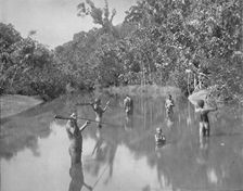 Australian Aborigines Spearing Fish 19th century