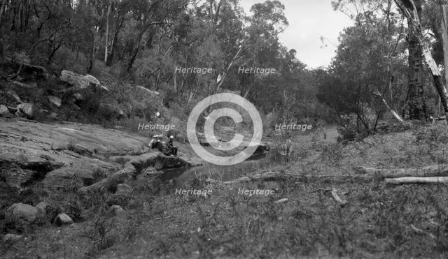 Australian bush scene, c1900s. Creator: Robert Augustus Henry L'Estrange.