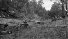Australian bush scene, c1900s. Creator: Robert Augustus Henry L'Estrange