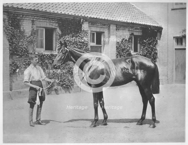 'Australian Star', 1911. Artist: Unknown.