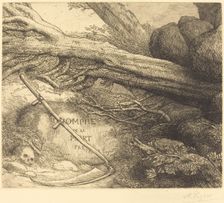 Avalanche: Frontispiece for Triumph of Death (L'avalanche: Frontispice du Triomphe dela mort. Creator: Alphonse Legros