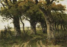 Avenue of Oaks in Late Summer, 1880-1900. Creator: Marie Bilders-van Bosse