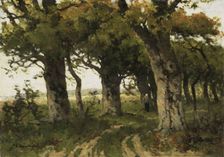 Avenue of Oaks in Late Summer, Between 1880 and 1900. Creator: Bilders-van Bosse, Maria (1837-1900)