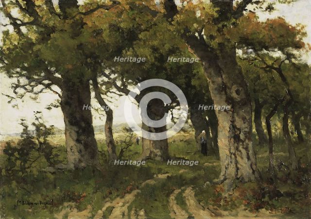 Avenue of Oaks in Late Summer, Between 1880 and 1900. Creator: Bilders-van Bosse, Maria (1837-1900).