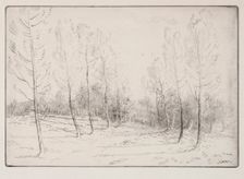 Avenue of Poplars. Creator: Alphonse Legros (French, 1837-1911)