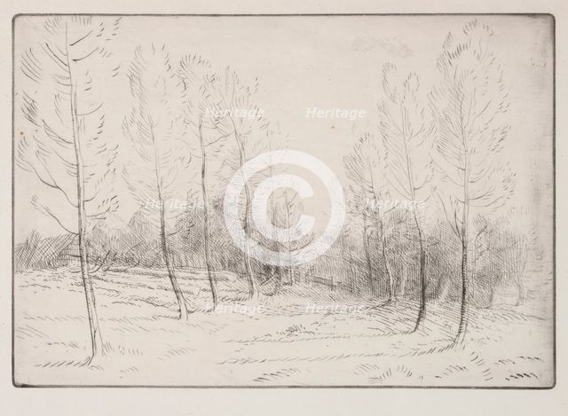 Avenue of Poplars. Creator: Alphonse Legros (French, 1837-1911).