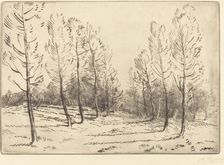 Avenue of Poplars (L'allee de peupliers). Creator: Alphonse Legros