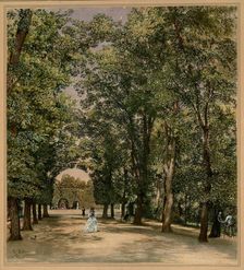 Avenue in the Schönbrunn palace park, ca 1871-1874