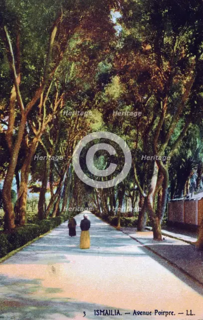 'Avenue Poirpre, Ismailia, Egypt', c1900. Creator: Unknown.