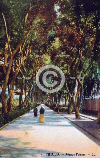 'Avenue Poirpre, Ismailia, Egypt', c1900. Creator: Unknown.