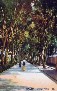 Avenue Poirpre, Ismailia, Egypt c1900. Creator: Unknown