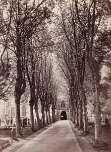 Avenue to the Church, Stratford on Avon, between 1870 and 1880. Creator: Francis Bedford