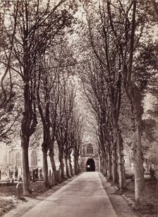 Avenue to the Church, Stratford on Avon, between 1870 and 1880. Creator: Francis Bedford