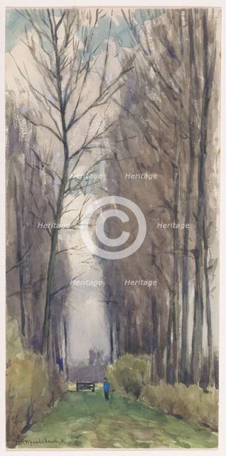 Avenue with tall trees, 1870-1920. Creator: Willem Wenckebach.