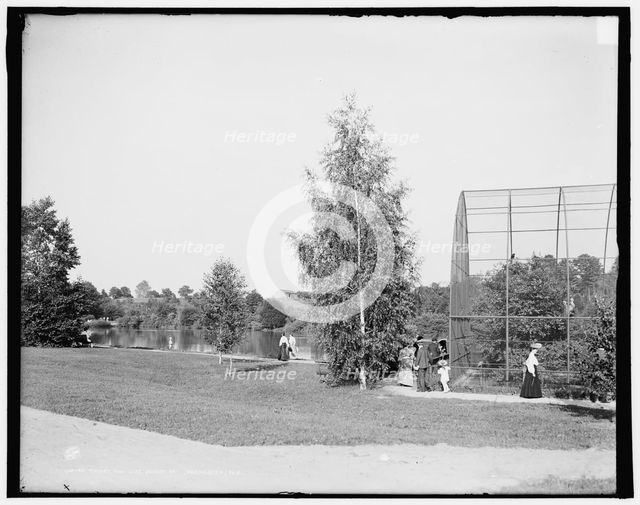 Aviary and lake, Seneca Park, Rochester, N.Y., between 1900 and 1906. Creator: Unknown.
