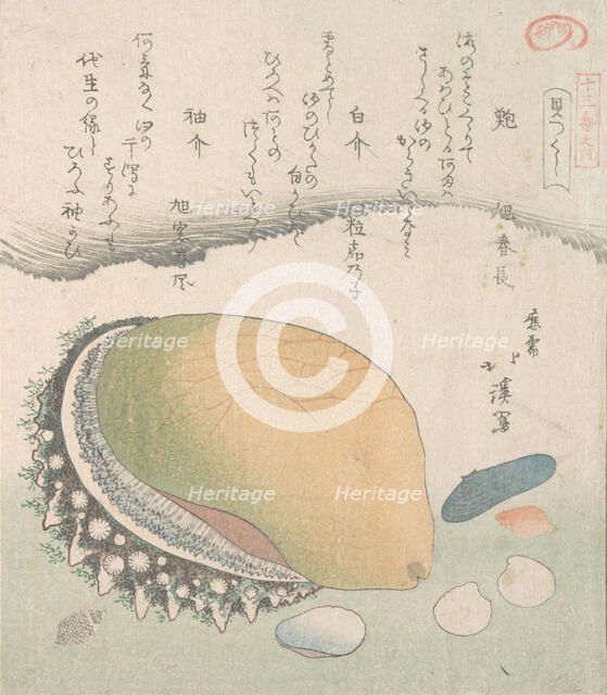 Awabi (Ear-Shell) and Various Shells, 19th century. Creator: Totoya Hokkei.