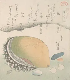 Awabi (Ear-Shell) and Various Shells, 19th century. Creator: Totoya Hokkei