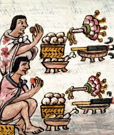 Aztec cuisine. From Historia General de las Cosas de la Nueva España by Bernardino de Sahagún