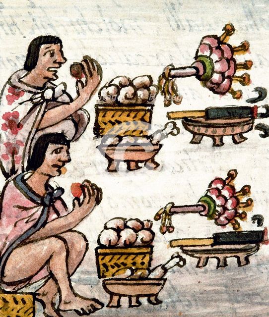 Aztec cuisine. From Historia General de las Cosas de la Nueva España by Bernardino de Sahagún.